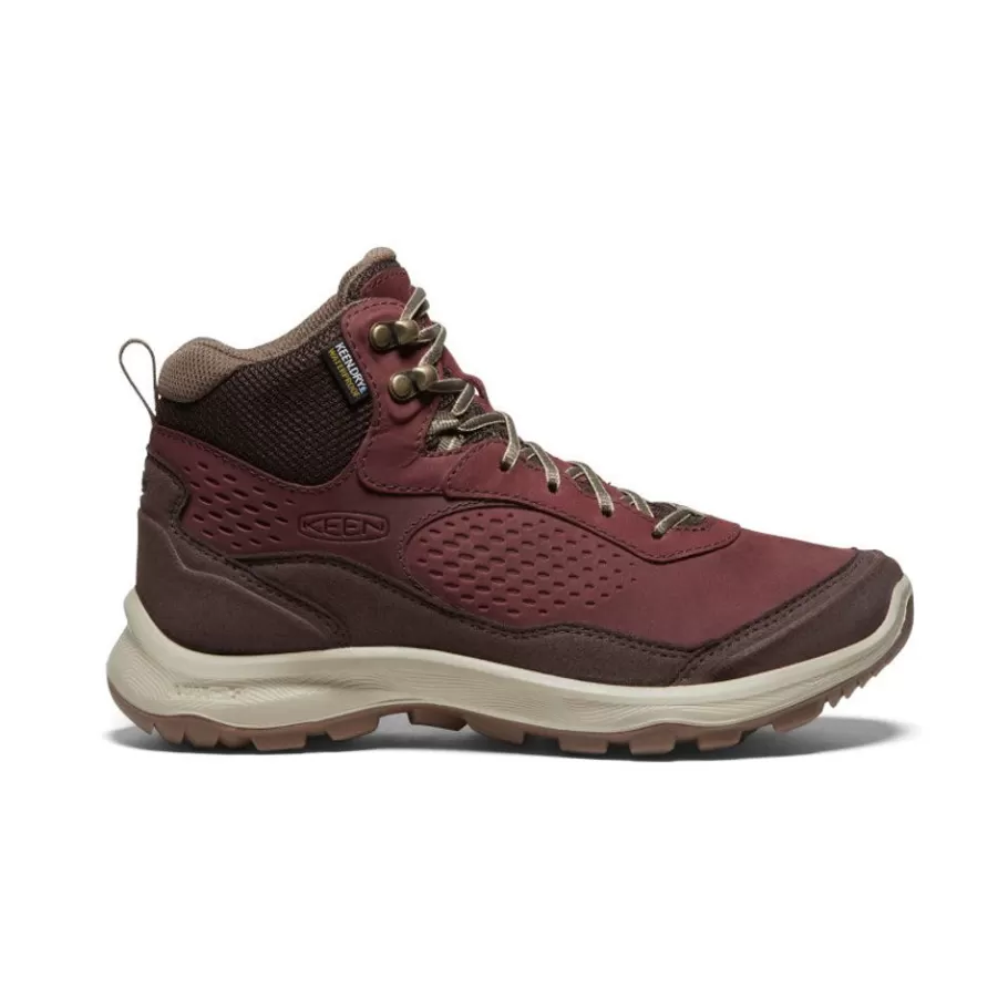 Women KEEN Boots-Women'S Terradora Explorer Waterproof Boot | Andorra/Java